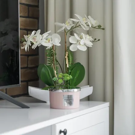 Apartment Doris 1 Z Pieknym Widokiem *