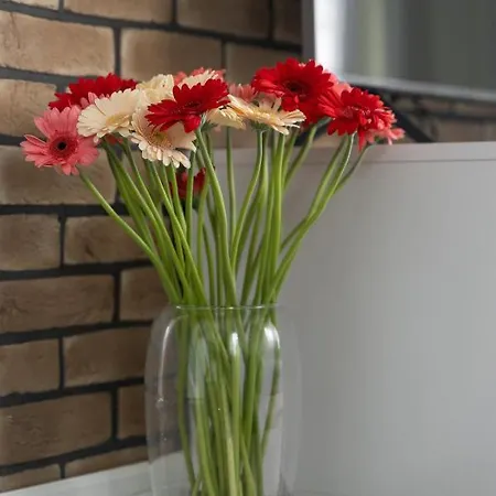 Doris 1 Z Pieknym Widokiem