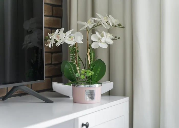 Apartament Doris 1 Z Pieknym Widokiem *