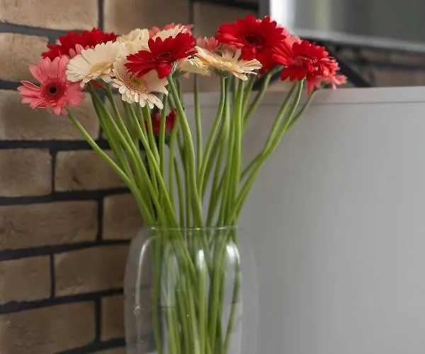 Doris 1 Z Pieknym Widokiem